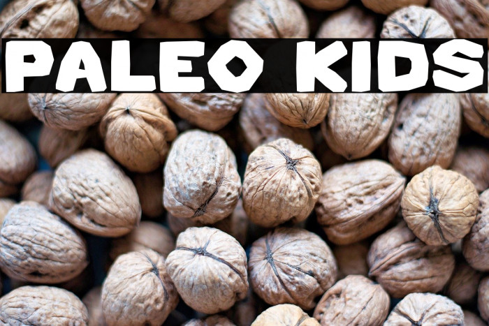 Paleo Kids Example 3