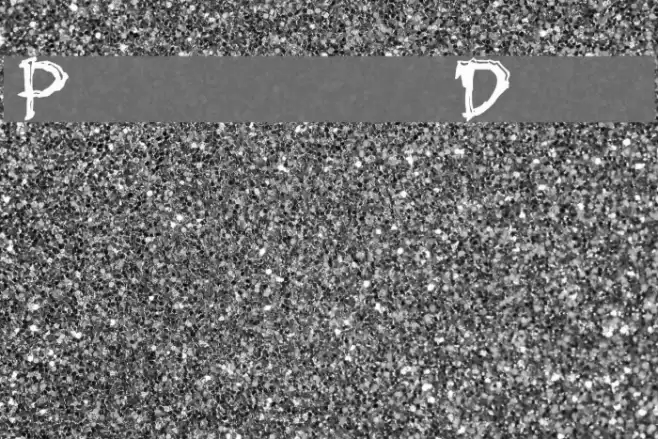 Paleos Demo Caratteri examples