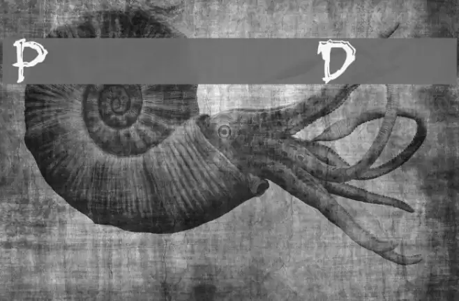 Paleos Demo Caratteri examples