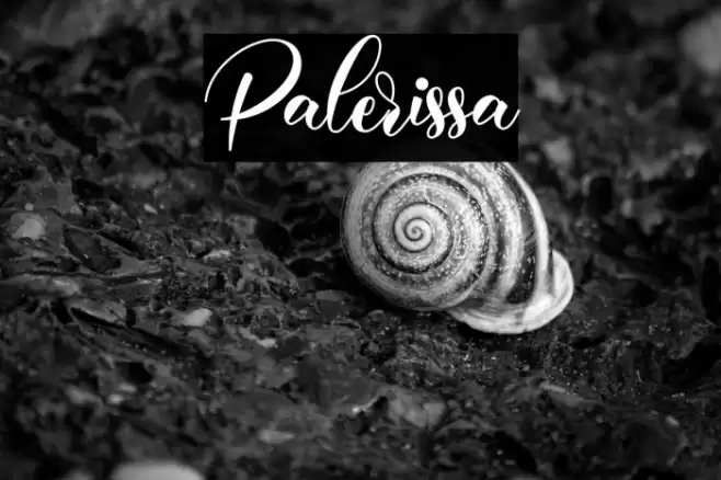 Palerissa Font examples