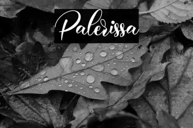 Palerissa Font examples