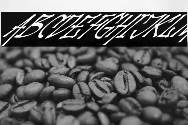 Palesik Italic Font examples