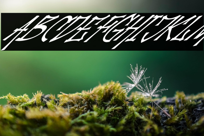 Palesik Italic Example 2