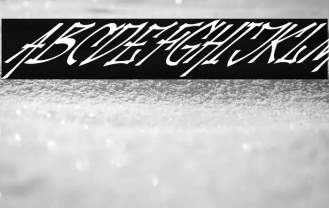 Palesik Italic Font examples