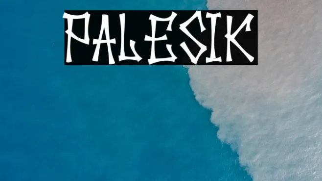 Palesik Example 1