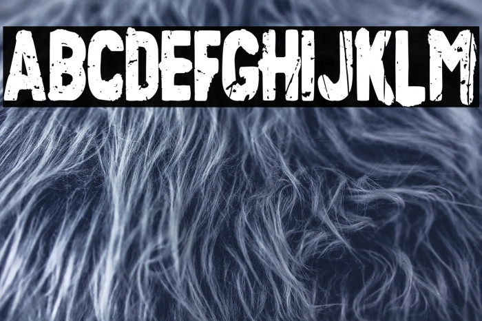 Palestine Border Example 2