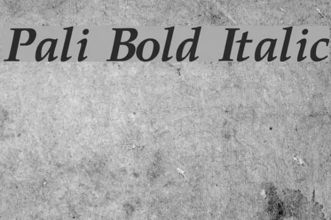 Pali Bold Italic Polices examples
