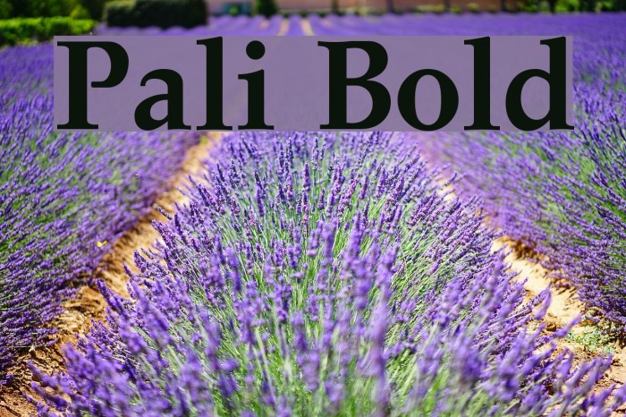 Pali Bold Font examples