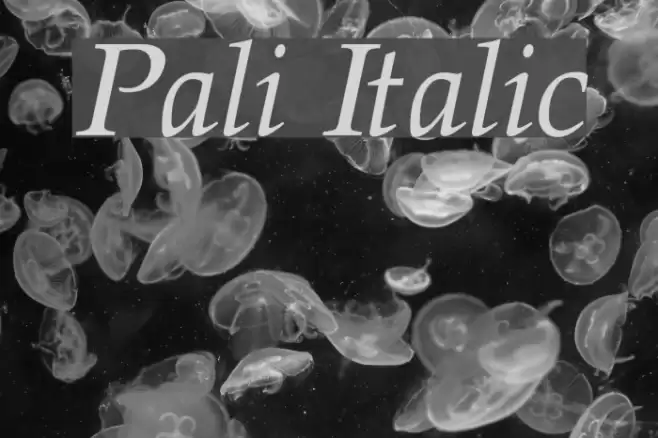 Pali Italic Font examples