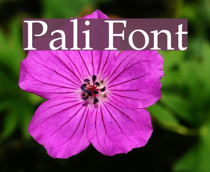 Pali Font examples