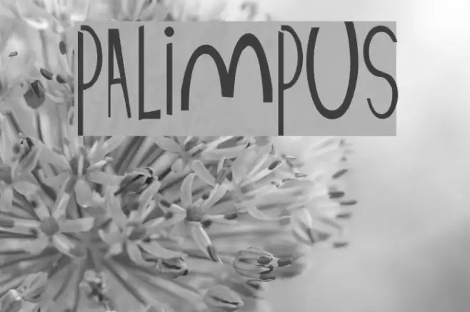 Palimpus Font examples