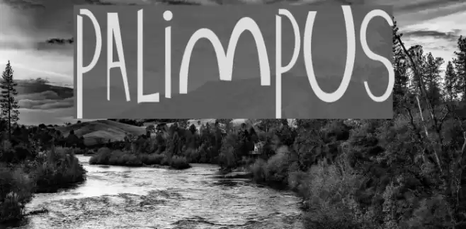 Palimpus Font examples