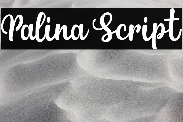 Palina Script Example 1