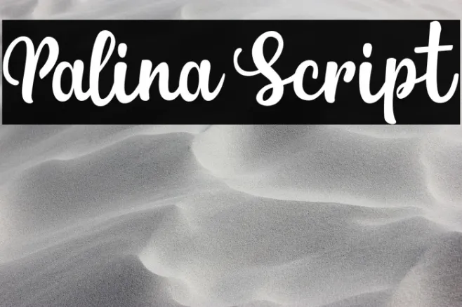Palina Script Example 1