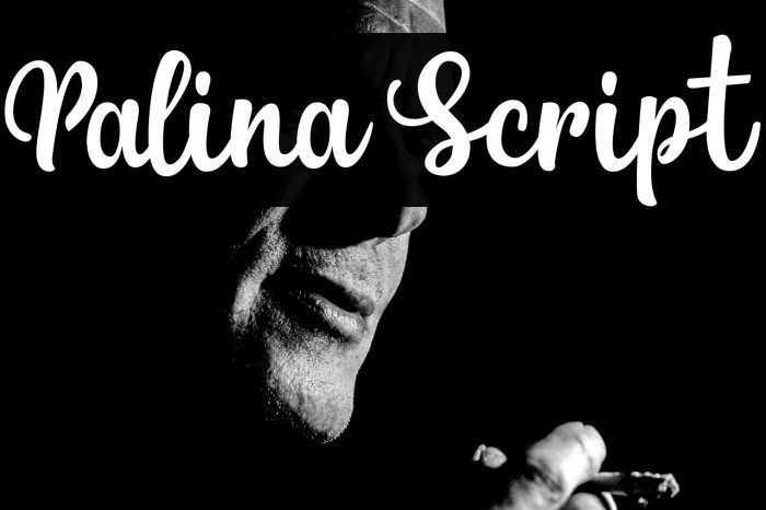 Palina Script Example 2