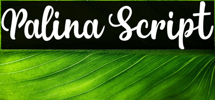 Palina Script Example 3
