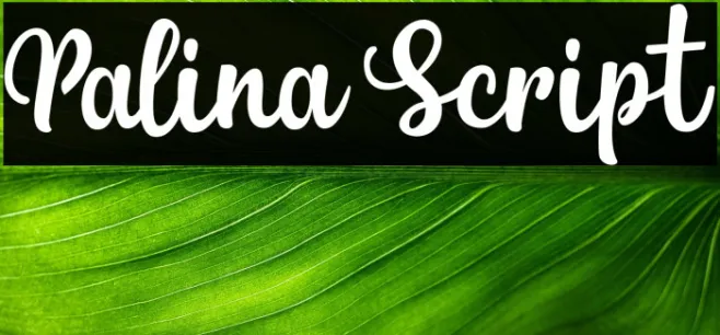 Palina Script Example 3
