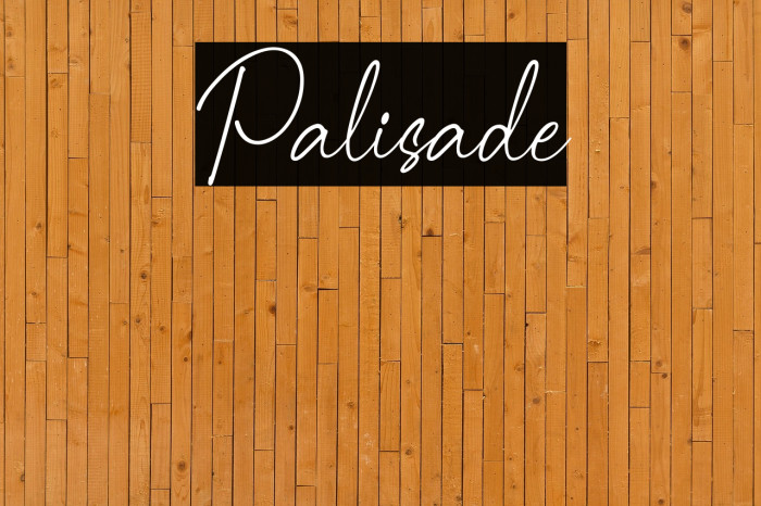 Palisade Example 1