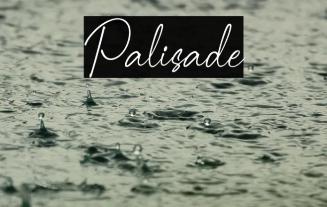 Palisade Example 2
