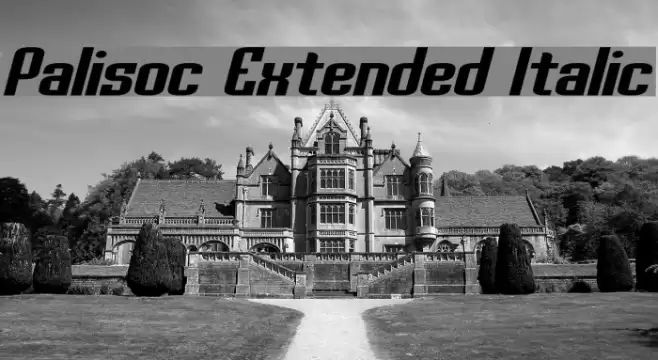 Palisoc Extended Italic Font examples
