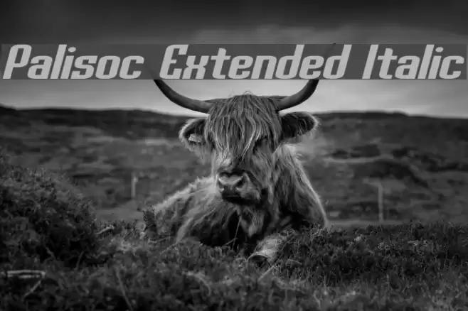 Palisoc Extended Italic Font examples