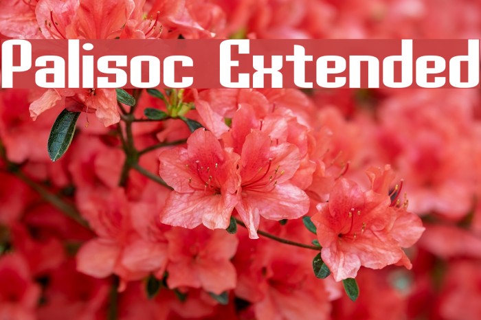 Palisoc Extended Font examples