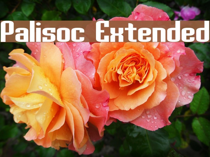 Palisoc Extended Font examples