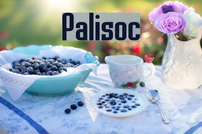 Palisoc Font examples