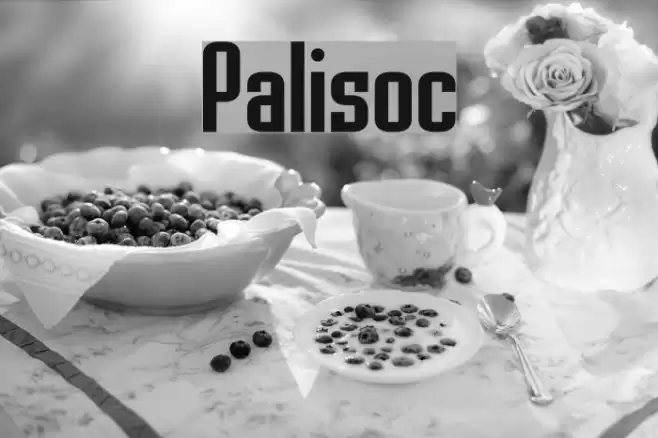 Palisoc フォント examples