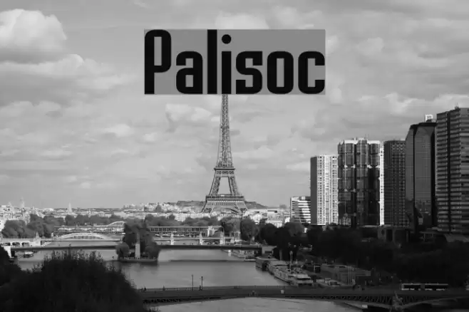 Palisoc フォント examples