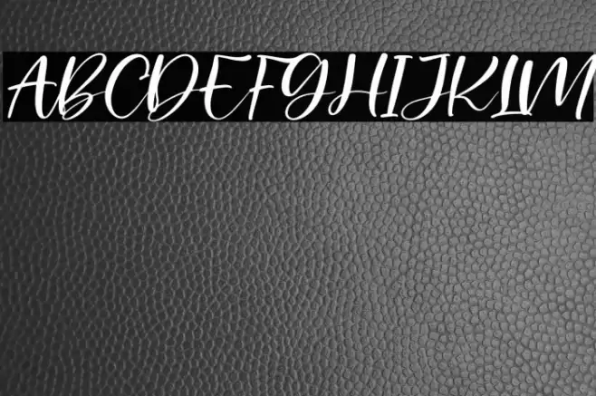 Palister Honey Italic Font examples