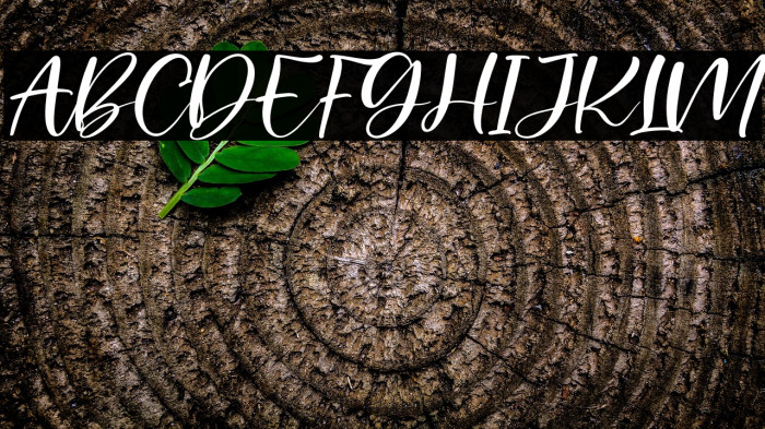 Palister Honey Italic Example 2