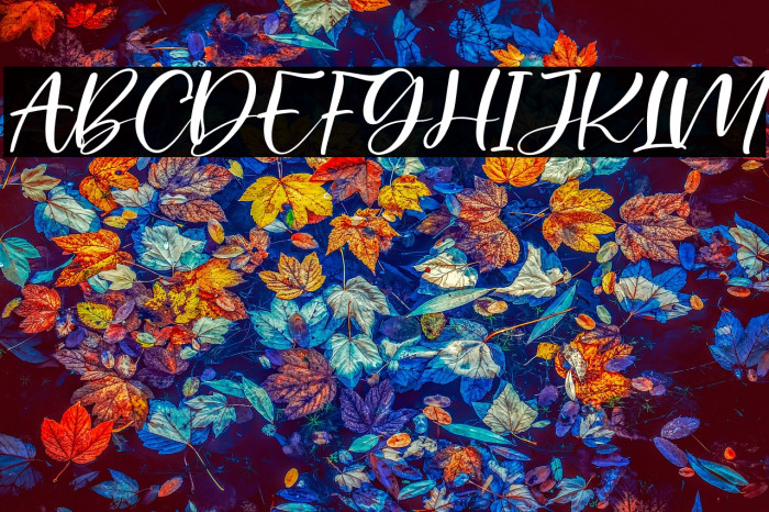 Palister Honey Italic Example 3