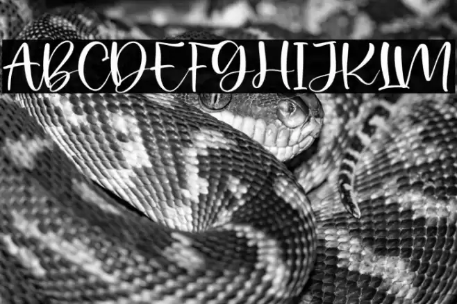 Palister Honey Font examples