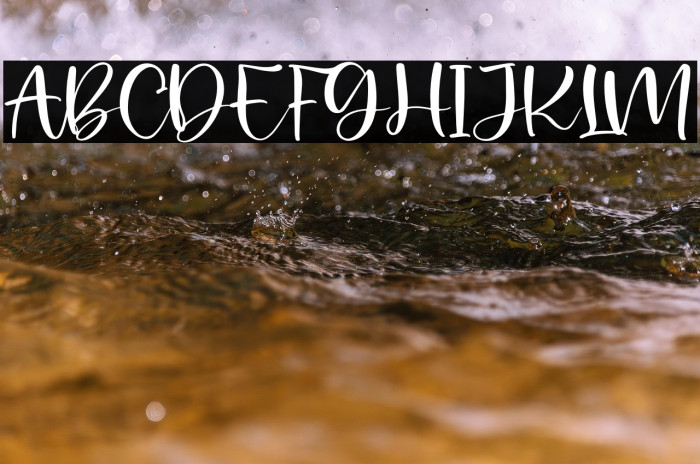 Palister Honey Example 3