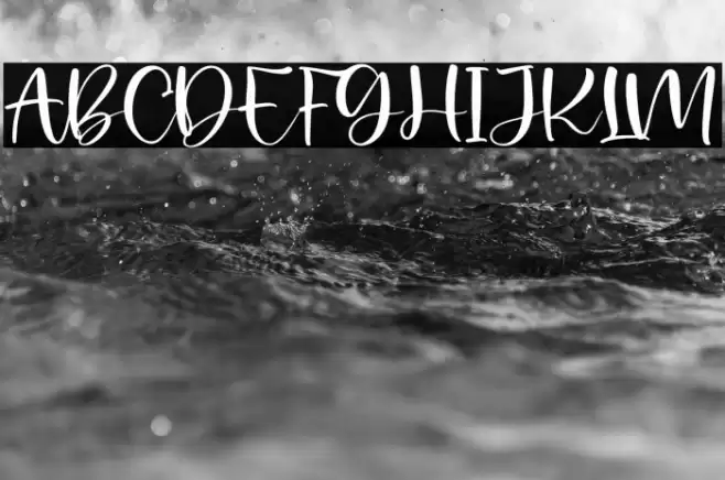 Palister Honey Font examples