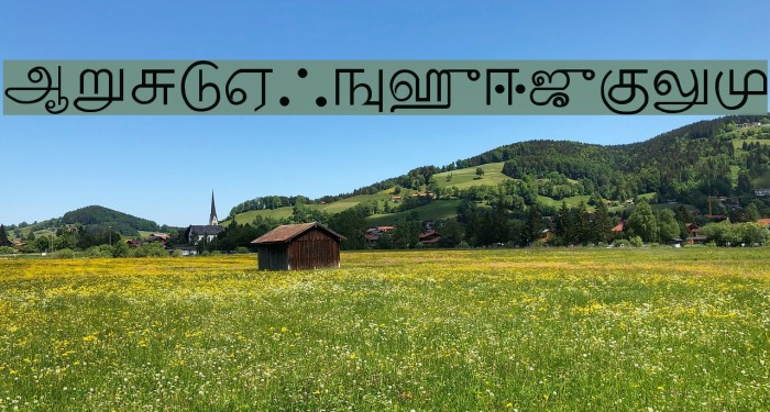 Palladam-Normal Font examples