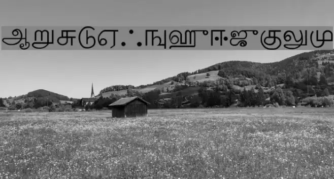 Palladam-Normal Font examples