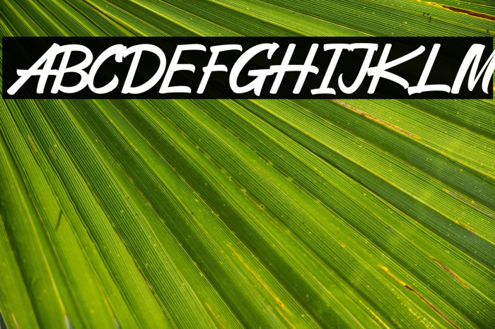 PallawaRegular Example 3