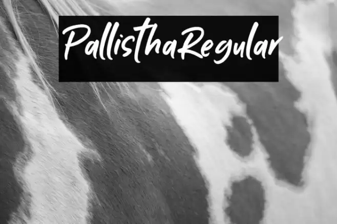 PallisthaRegular Font examples