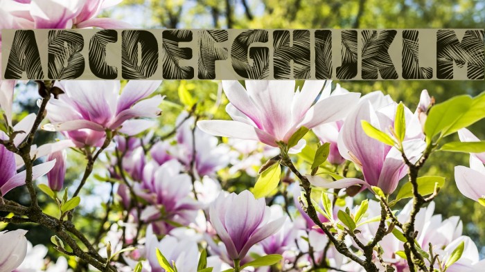 Palm Beach Font examples