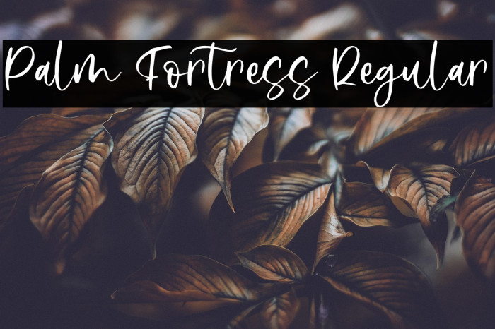 Palm Fortress Regular Example 2