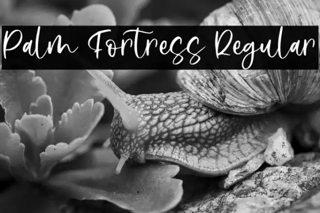 Palm Fortress Regular 字体 examples