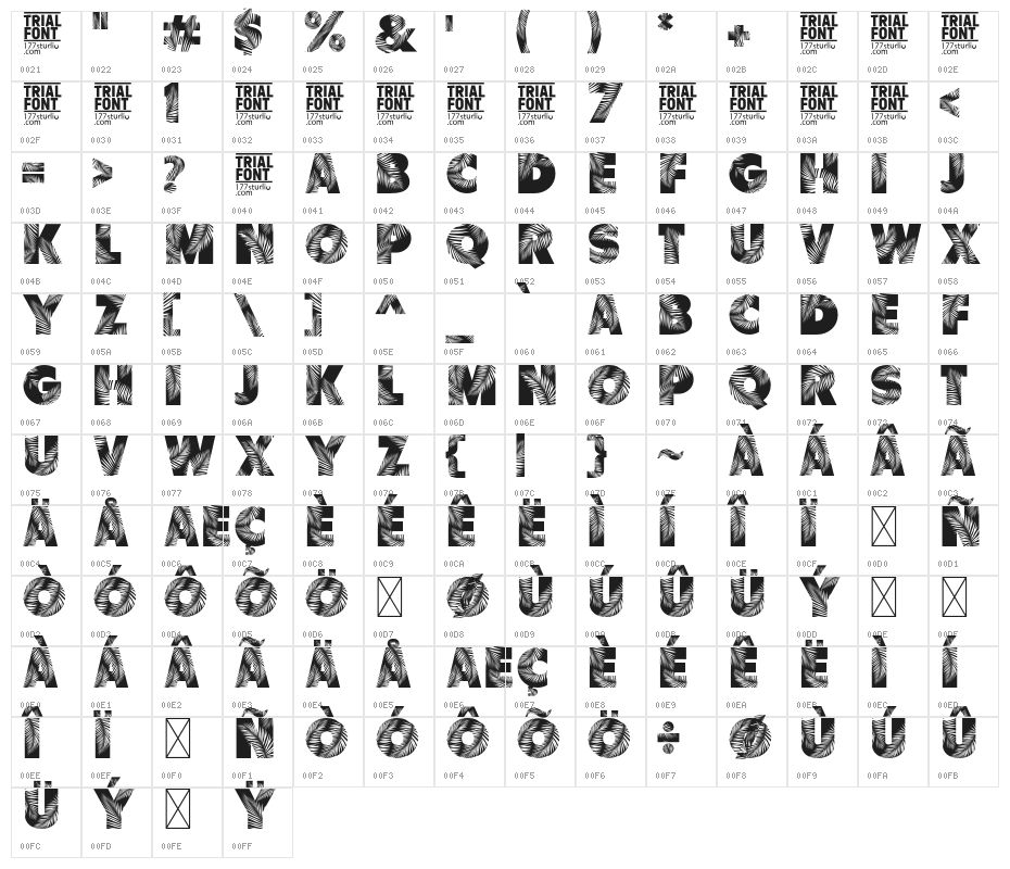 Palm Leaf Demo Regular Character Map