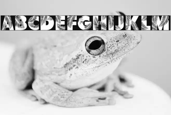 Palm Leaf Demo Regular Font examples