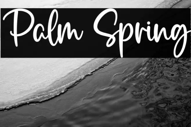 Palm Spring  examples