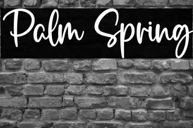 Palm Spring  examples