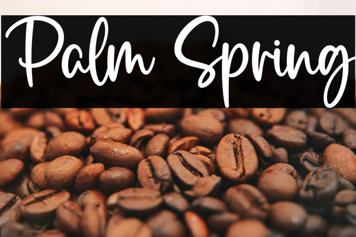 Palm Spring Example 3