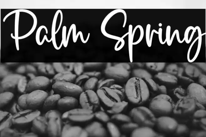 Palm Spring  examples