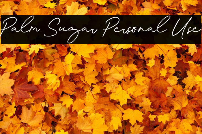 Palm Sugar Personal Use Example 1